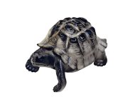 Скульптура ф.Черепаха рис.Темный панцирь